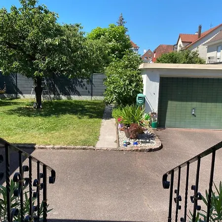 3 Lys Saint-Louis (Haut-Rhin)